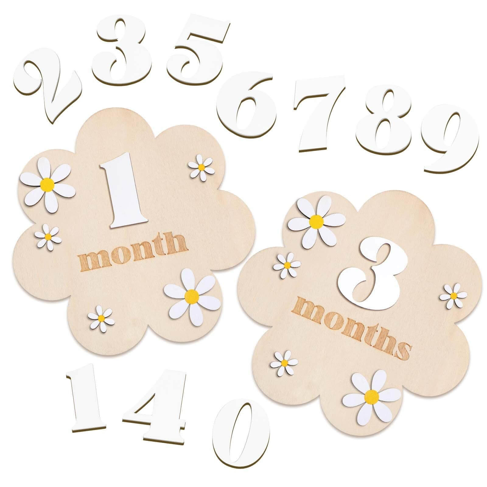 Baby Monthly Milestone Disc Set