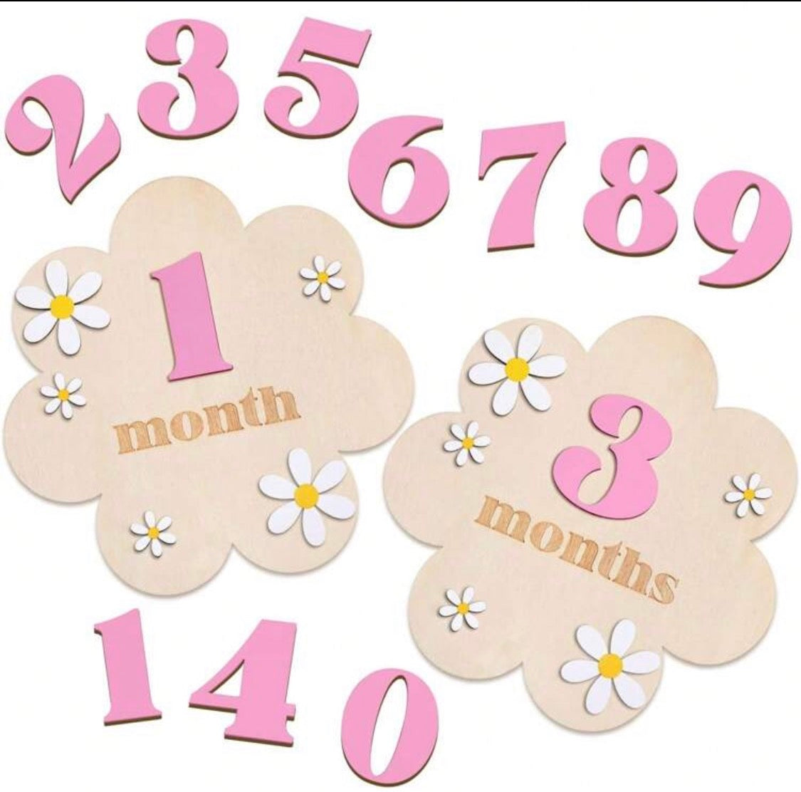 Baby Monthly Milestone Flower Wooden Signs – 1-12 Months Photo Props & Keepsake | Bowkart