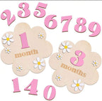 Baby Monthly Milestone Flower Wooden Signs – 1-12 Months Photo Props & Keepsake | Bowkart