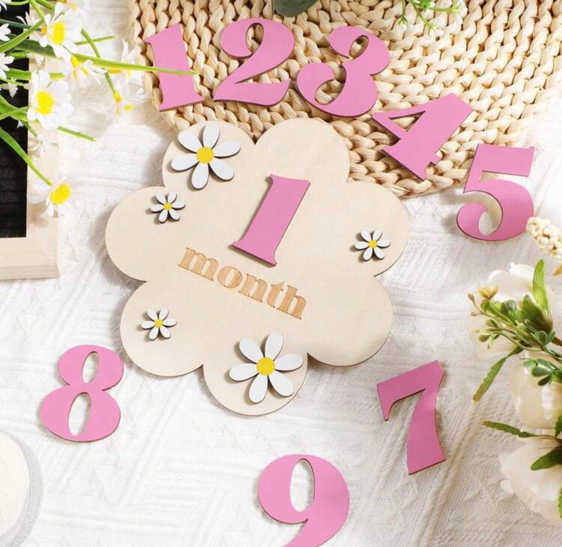 Baby Monthly Milestone Flower Wooden Signs – 1-12 Months Photo Props & Keepsake | Bowkart