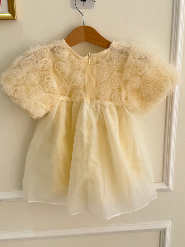 Roses Dress Hover Image